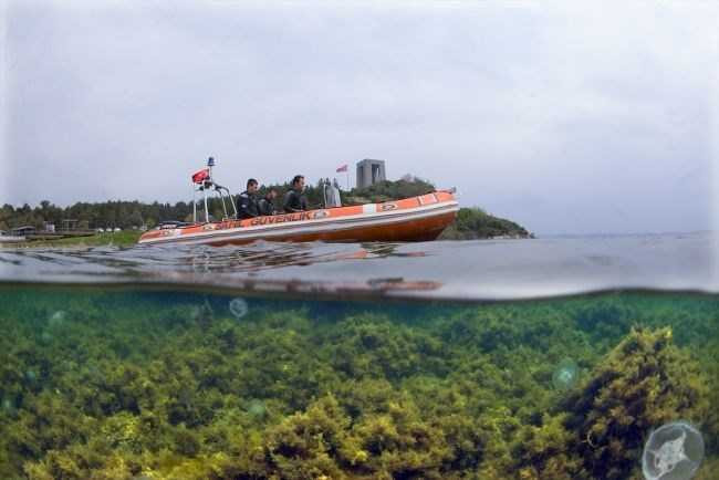Çanakkale Boğazı'nın batık gemileri dalış turizmine kazandırılıyo