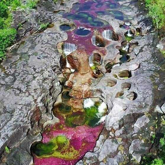 Beş renkli nehir görenleri büyülüyor İşte sırrı Haber3