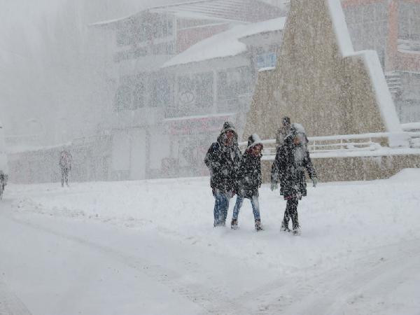 Van'da 14 yerleşimin yolu kardan kapandı - Resim: 1