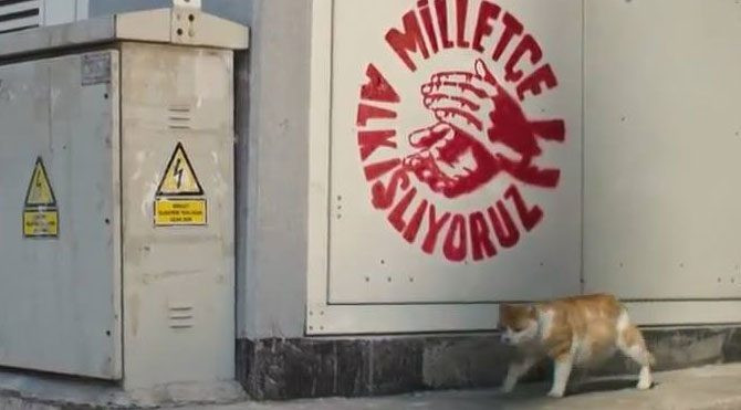 Yerel seçimler için ''trafoya kedi girmesin'' önlemleri
