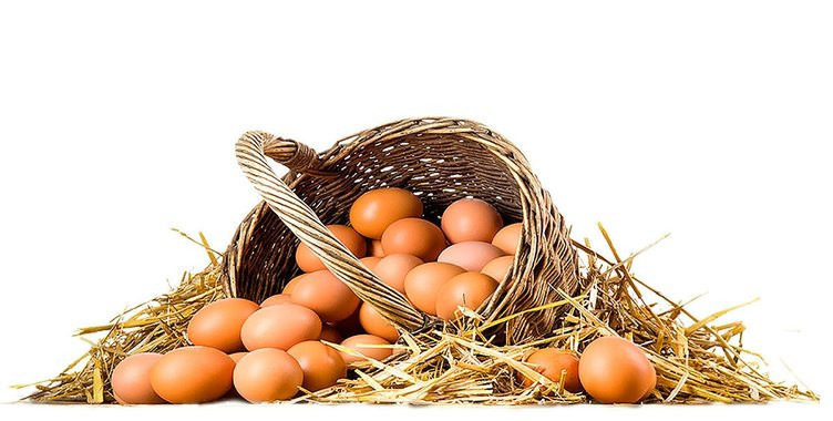 Her gün yumurta yiyenler dikkat - Resim: 4