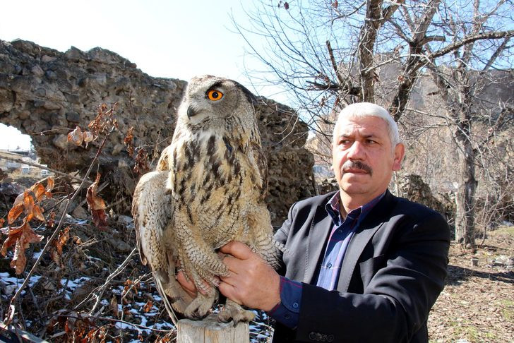 Bahçesinde buldu iyileşene kadar baktı