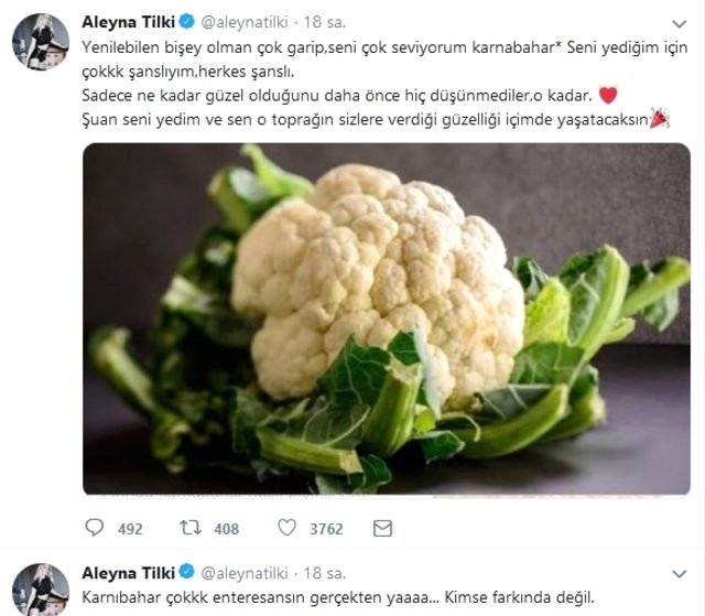 Aleyna Tilki'den pes dedirten paylaşım