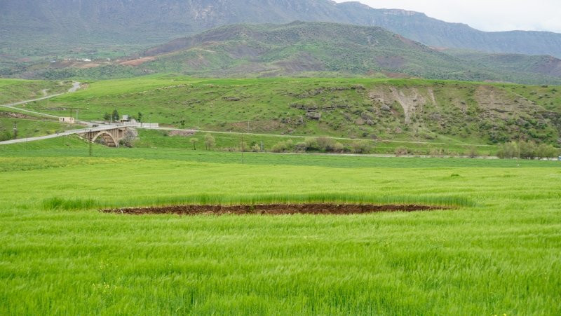 Korkunç bir gürültüyle uyandılar, 40 metre çapınca obrukla karşıla