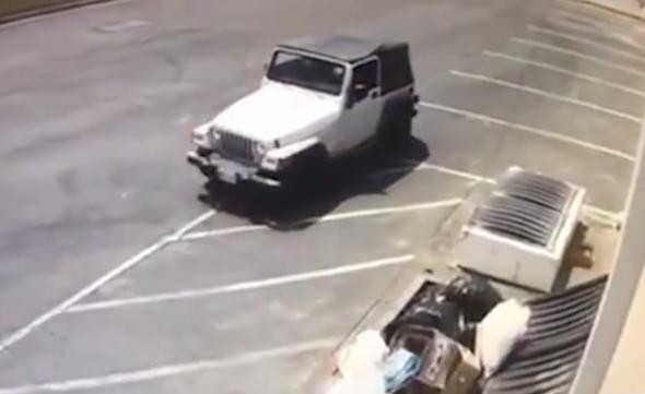 İnsanlık dışı olay! Canlı canlı çöpe attı