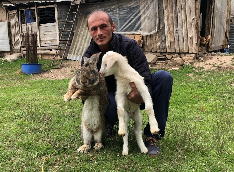 Büyüklüğüyle görenleri hayrete düşürüyor! Fiyatı 2 bin lira...