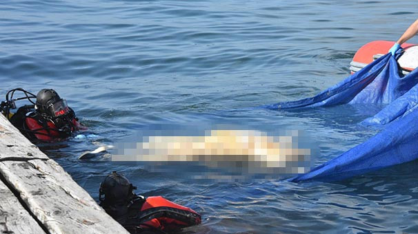 Çocuk parkı önünde korkunç manzara !