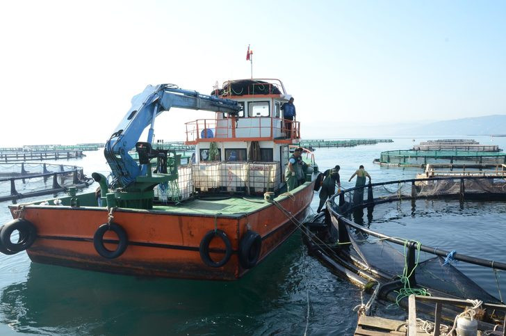 Ordu'da üretiliyor ! Ruslar ve Japonlar bayılıyor