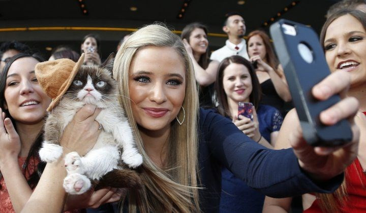 Fenomen kedi ''Grumpy Cat'' öldü