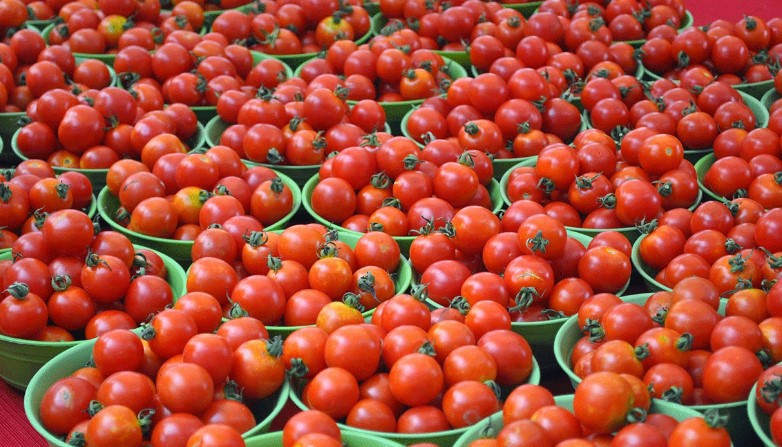 Ukrayna Türkiye'den giden domatesleri geri gönderdi