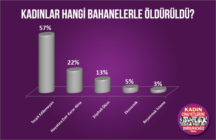 Kadın Cinayetlerini Durduracağız Platformu, Mayıs 2019 raporu