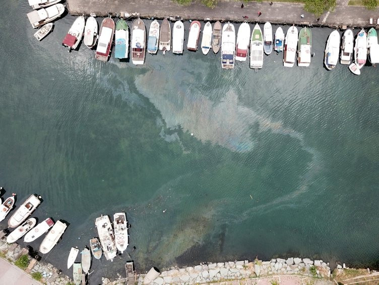 İstanbul'da korkutan balık ölümleri! Burası Küçükçekmece Gölü...