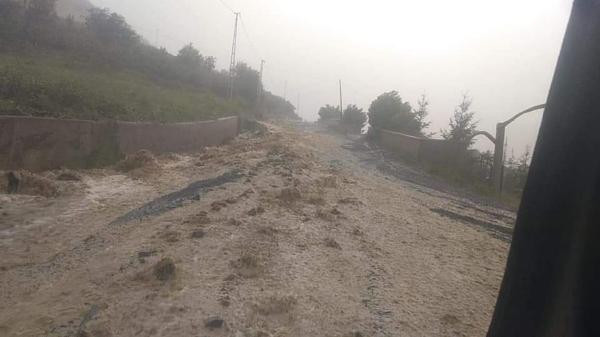 Ordu ve Giresun'da evleri su bastı, araçlar mahsur kaldı