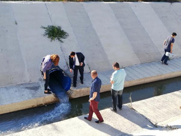 Tekirdağ'da dereye kimyasal karıştı