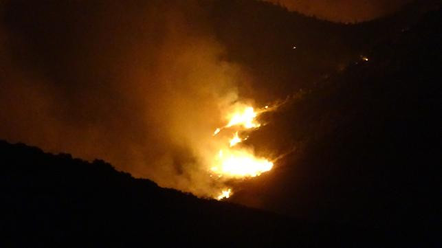 Adana'da orman yangın