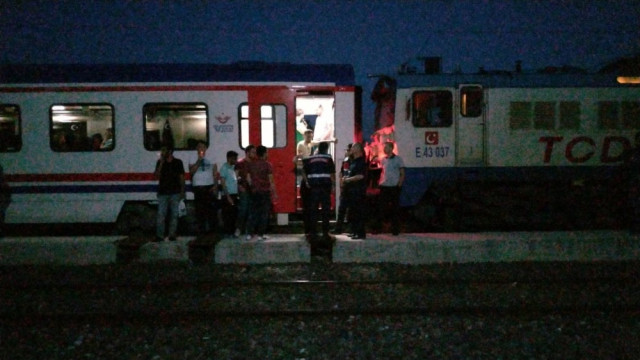 Trene evcil hayvanıyla binen kadın ortalığı karıştırdı