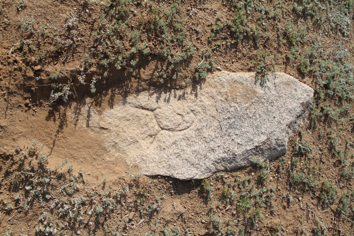 Moğolistan'da Türk kağanlığına ait 'Aşina' damgaları bulundu