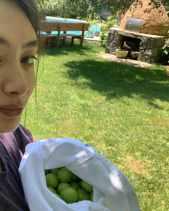 Neslihan Atagül ağaçtan meyve topladı, konserve yaptı