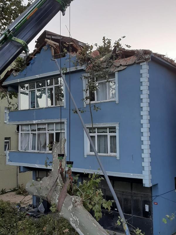 Beykoz'da dev çınar ağacı binanın üzerine devrildi - Resim : 1