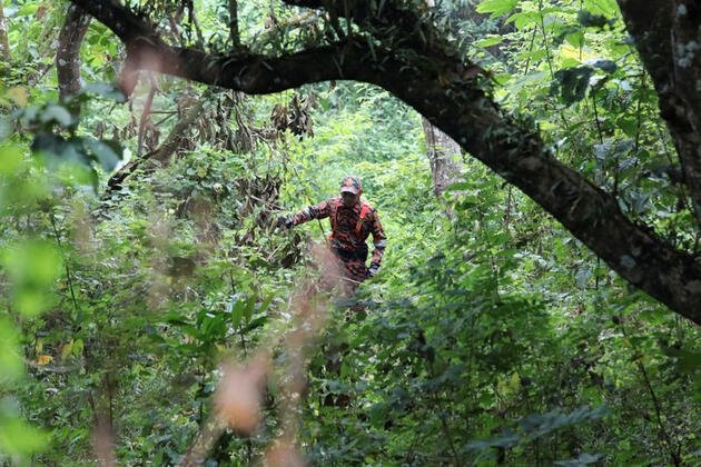 Hayalindeki tatil için Londra'dan Malezya'ya gitti, ormanda cesedi bulundu