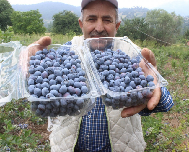 7 yıl önce başladı... Şimdi dönümünden 80 bin TL kazanıyor