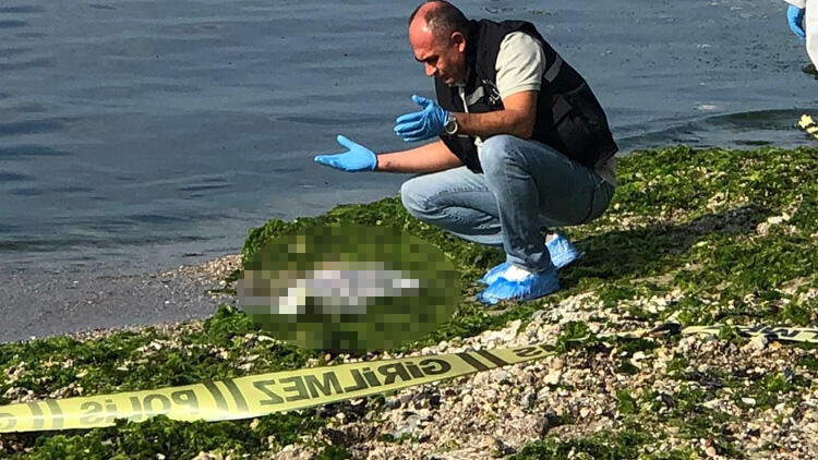 Beylikdüzü'nde korkunç olay ! Kıyıya vurdu...