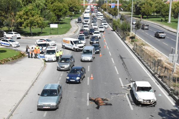 Otomobilin çarptığı atlar telef oldu ! Feci kaza kamerada