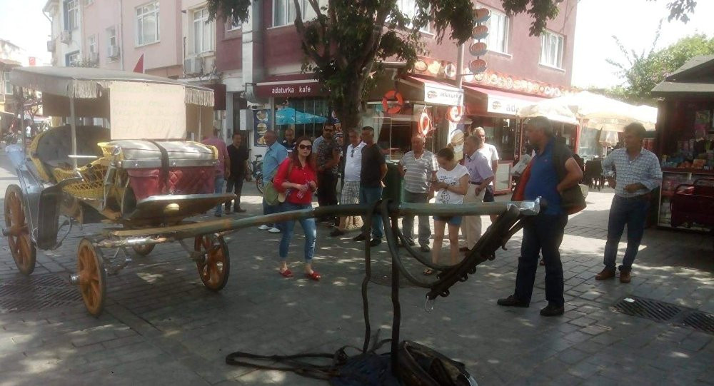 İstanbul Büyükşehir Belediyesi'nden Adalar'daki faytonlar için çalıştay
