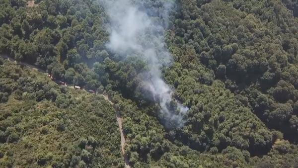 Beykoz Anadolu Kavağı'nda orman yangını - Resim: 3