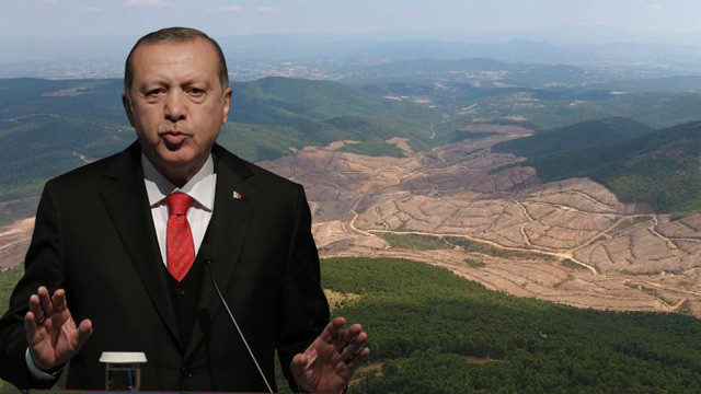 Kaz Dağları'ndaki katliamdan sonra Erdoğan'ın bu sözleri gündem oldu