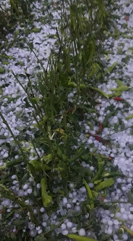 Antalya'da ceviz büyüklüğünde dolu yağdı