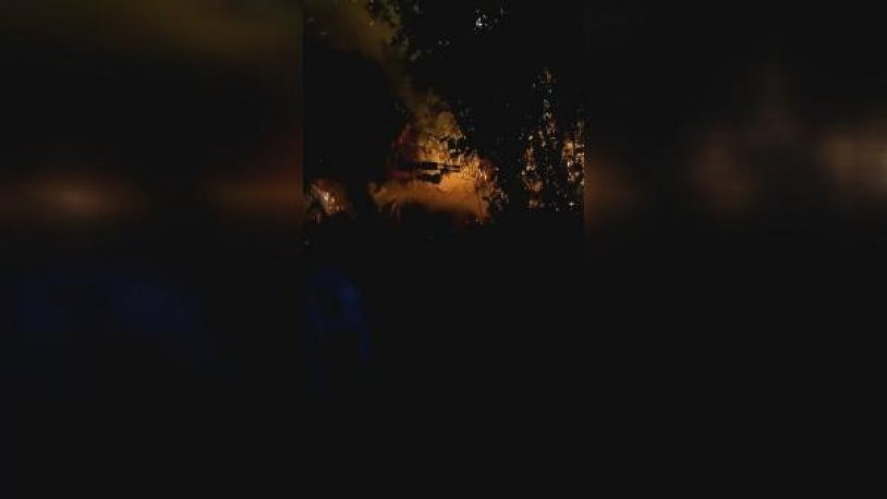 Beykoz'da askeri alanda orman yangını