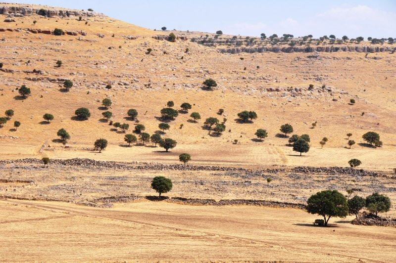 Mardin Derik'te kaçak kazıda 1500 yıllık mozaik bulundu