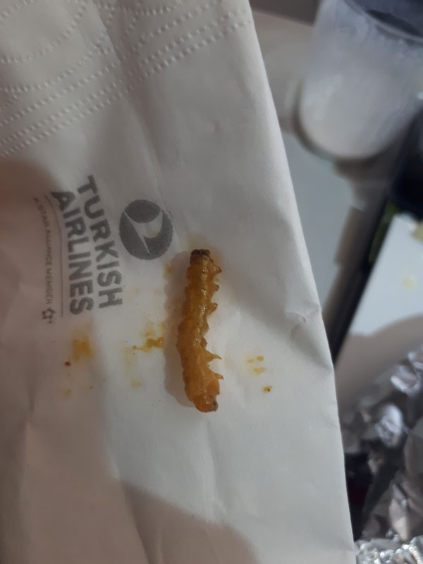 THY'nin yemeğinden tırtıl çıktı