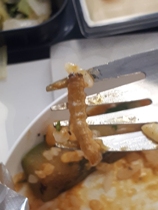 THY'nin yemeğinden tırtıl çıktı