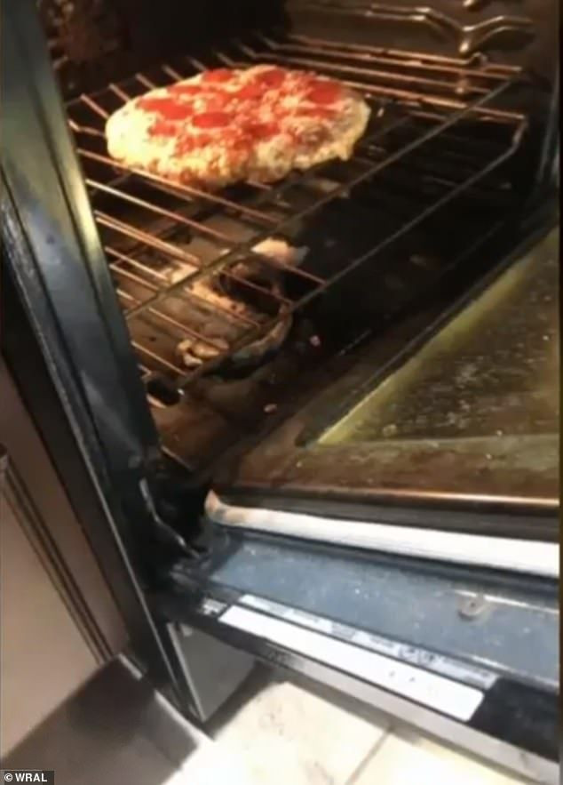 Fırında pizza hayalleri fırında yılan ile son buldu! Haber3