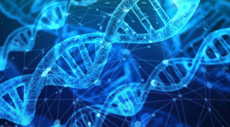 100 bin yeni nesil DNA kiti ihale açtı