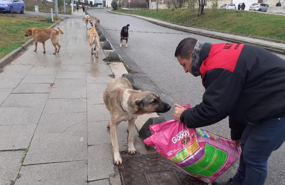 Maltepe sokak hayvanlarını unutmadı! Tam 500 kilo mama dağıtıldı