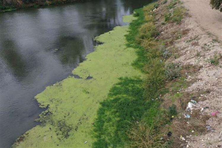 Tunce Nehri'nde sular çekildi, rezalet ortaya çıktı - Resim: 3