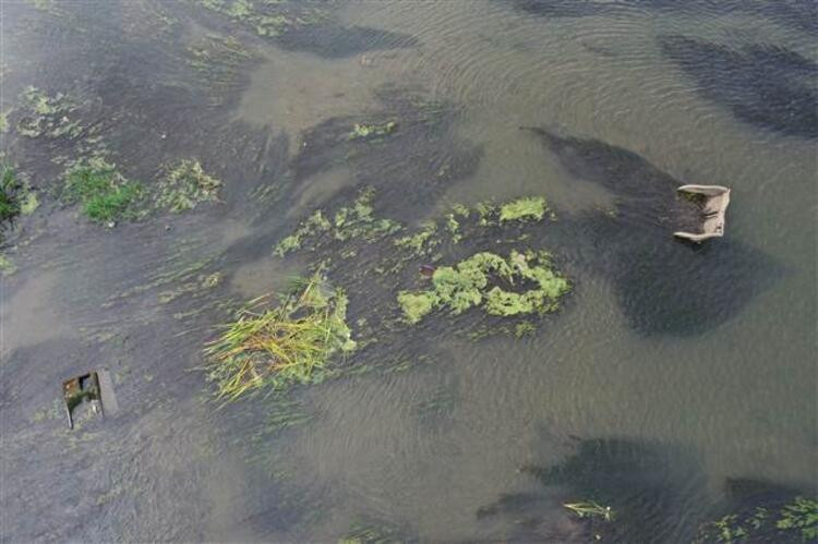 Tunce Nehri'nde sular çekildi, rezalet ortaya çıktı - Resim: 4