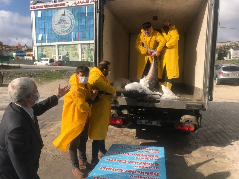 Marmara Denizi'nde bir dev yakalandı!
