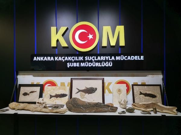 Adnan Oktar'ın kaçak fosilleri, MTA Müzesi'ne teslim edildi!