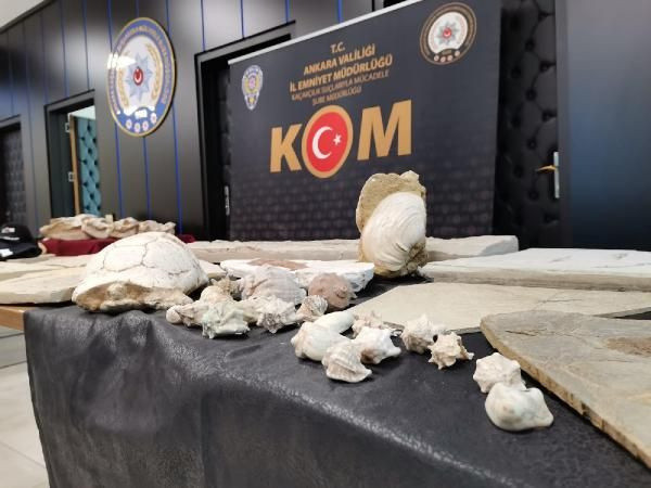 Adnan Oktar'ın kaçak fosilleri, MTA Müzesi'ne teslim edildi!