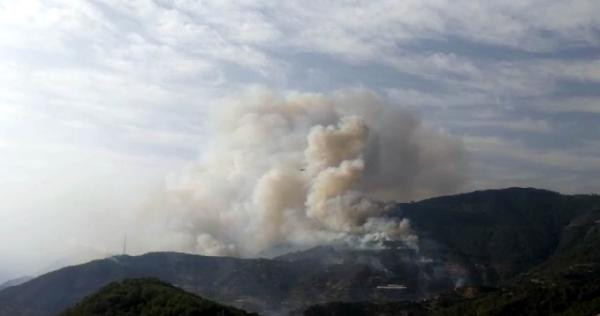 Mersin'de yerleşim yeri yakınında orman yangını - Resim : 1