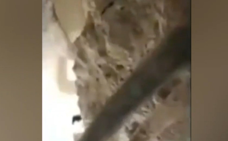 Türkiye'yi uyutmayan sözler: ''Ağabey sen gitme!''