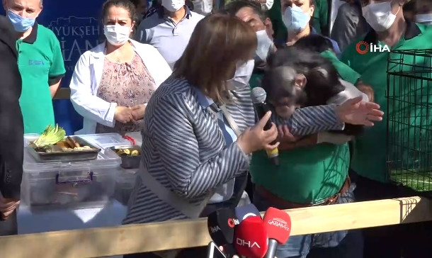 Maymundan AK Partili Fatma Şahin'in zor anları