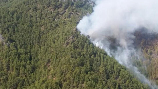 Antalya'da orman yangını! Havadan Müdahale ediliyor