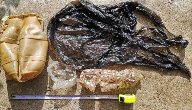 Antalya’da karaya vuran balinanın midesinden neler çıktı neler