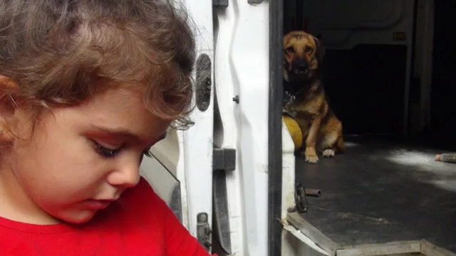 Antalya'da dehşete düşüren olay! Sokak köpeğini severken...