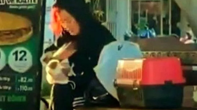 Hamster’a tokat atıp ısırmaya çalışan kadına ceza